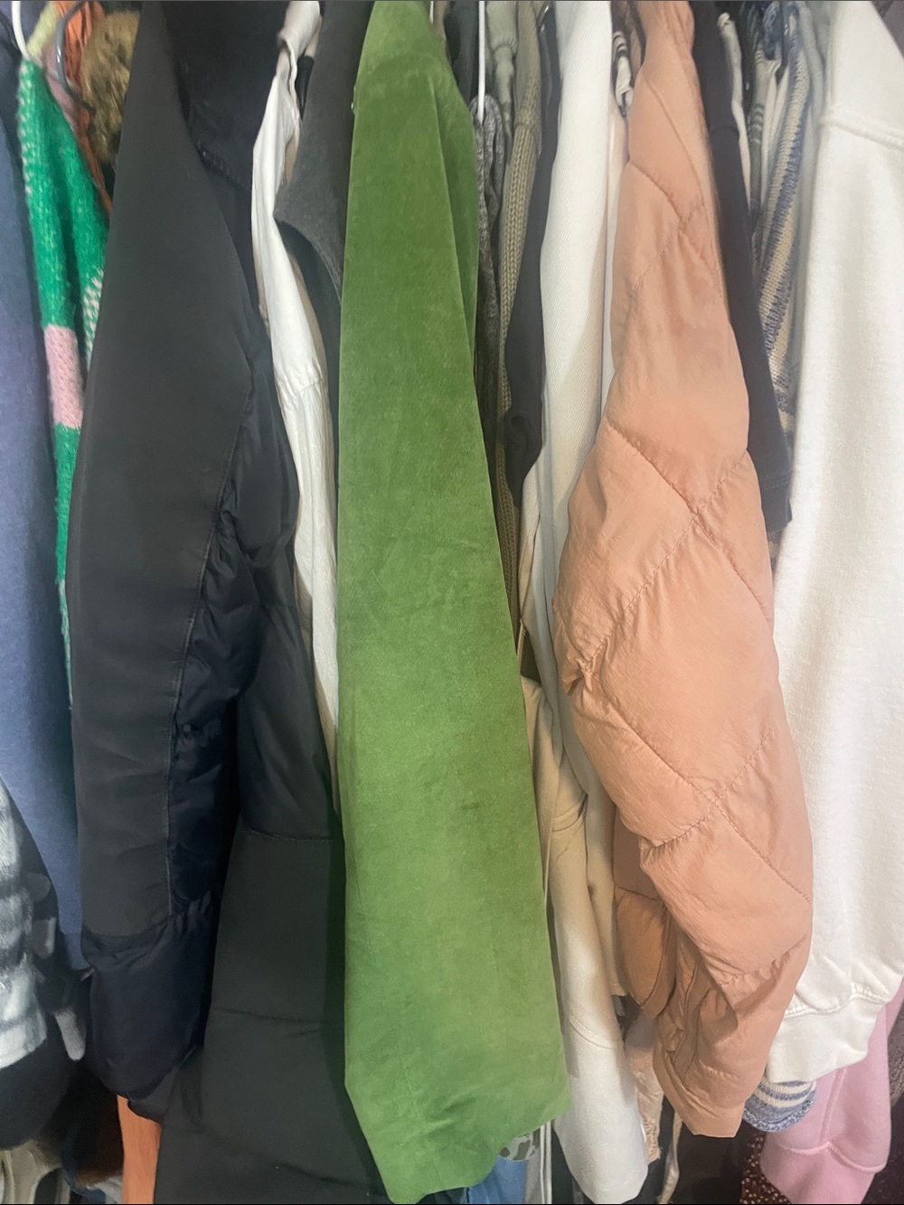 bundle Julie Sampson